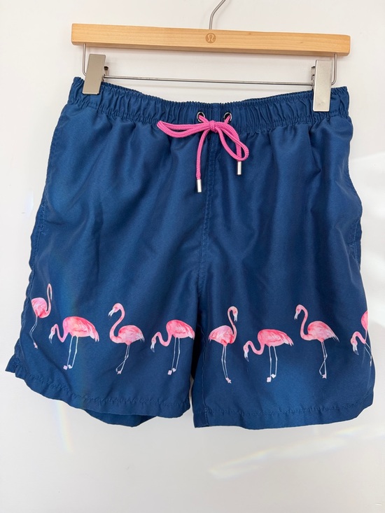 Franks Other - Franks Flamingo Print swim trunks with Pink Drawstring L